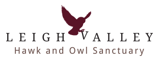 Leigh Valley Hawk and Owl Sanctuary